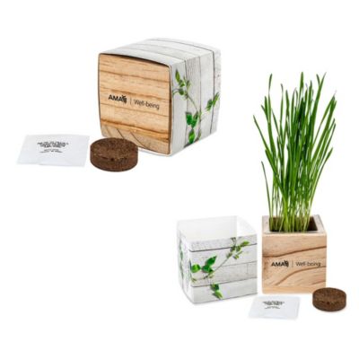 Wooden Cube Grow Kit - AMA Well-Being