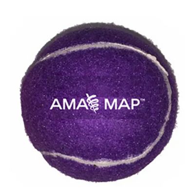 Fido’s Dog Toy - MAP