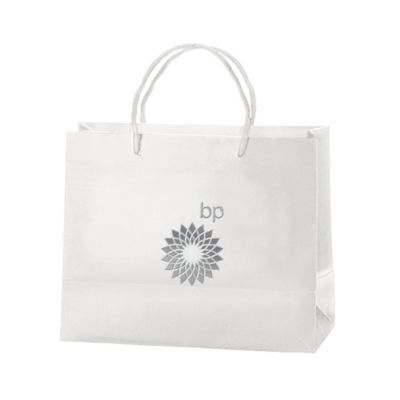 Paris Matte Eurotote Paper Gift Bag - 10W x 4D x 8H