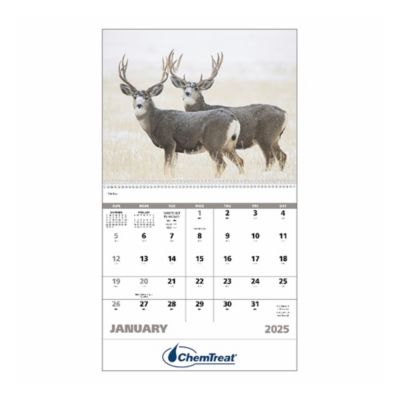 Wildlife Calendar (1PC)