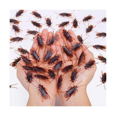 Wirrabilla Pretty Realistic 120PCS Fake RoachesProduct