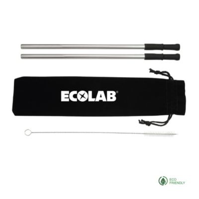 Reusable Stainless Steel Straw Set with Brush - ECO