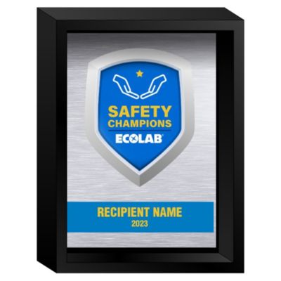 The Box Award - 6 in. x 8 in.- Ecolab Safety