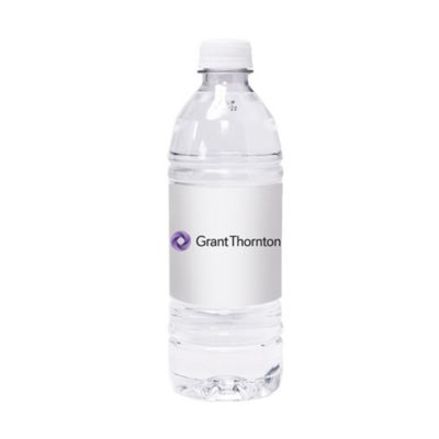 Flat Cap Bottled Water - 16.9 oz (Case of 24)