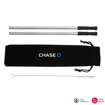 Reusable Stainless Steel Straw Set with Brush - Chase