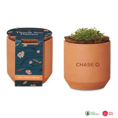 Modern Sprout Tiny Terracotta Grow Kit Thank You Daisies - Chase