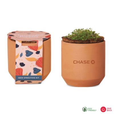 Modern Sprout Tiny Terracotta Grow Kit Champagne Poppies - Chase