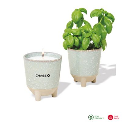 Modern Sprout Glow and Grow Live Well Gift Set - Basil - Chase