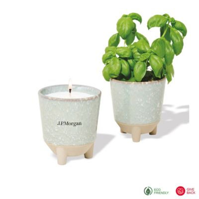 Modern Sprout Glow and Grow Live Well Gift Set - Basil - J.P. Morgan