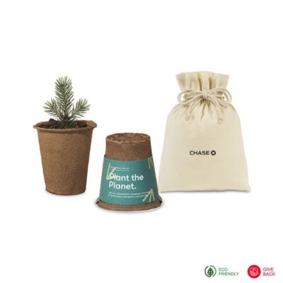 Modern Sprout One For One Tree Kits - Spruce - Chase