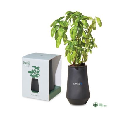 Modern Sprout Tapered Tumbler Grow Kit - Basil - Chase