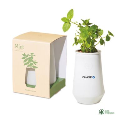 Modern Sprout Tapered Tumbler Grow Kit - Mint - Chase
