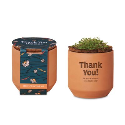 Modern Sprout Tiny Terracotta Grow Kit Thank You Daisies - JPMC EAW