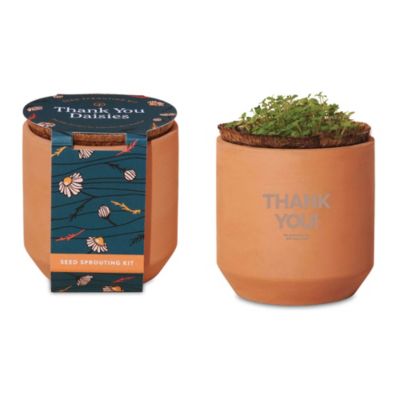 Modern Sprout Tiny Terracotta Grow Kit Thank You Daisies - JPMC EAW