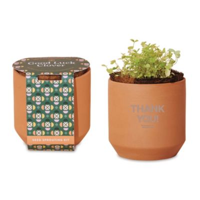 Modern Sprout Tiny Terracotta Grow Kit Good Luck Clover - JPMC EAW