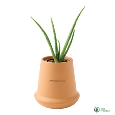 Modern Terracotta Grow Kit Aloe - JPMC EAW