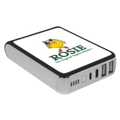 TenFour Power Bank - 10,400 mAh - ROSIE