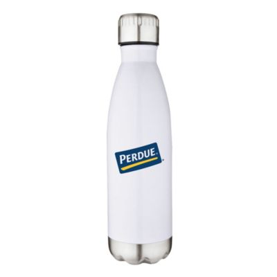 Apollo Double Wall Stainless Steel Bottle - 17 oz.