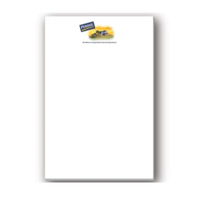 BIC Adhesive Notepad - 4 in. x 6 in. - 50 sheet pad