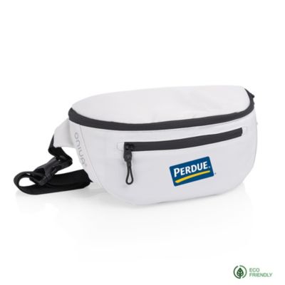 Tarana Insulated Bum Bag