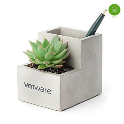 Kikkerland Small Concrete Desk Planter (1PC) - While Supplies Last