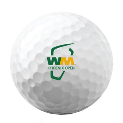 Titleist Pro V1 Golf Balls - Dozen - WMPO