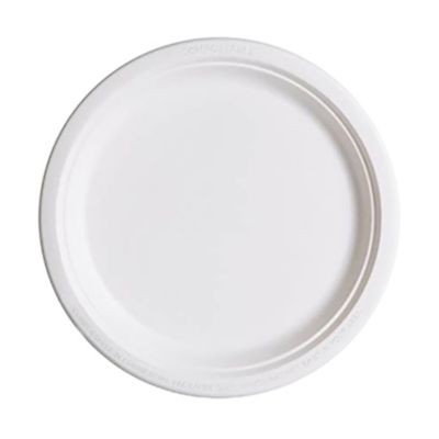 Compostable Paper Plate - 10 in. (Pack of 10) (1PC)